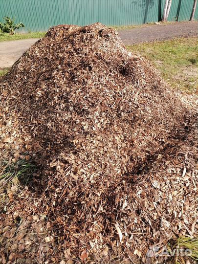 Древесная щепа