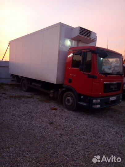 Грузоперевозки, реф, гидроборт