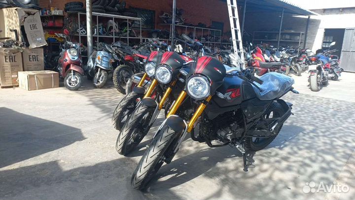 Cobra 250 новые