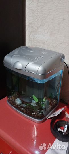 Аквариум с рыбками