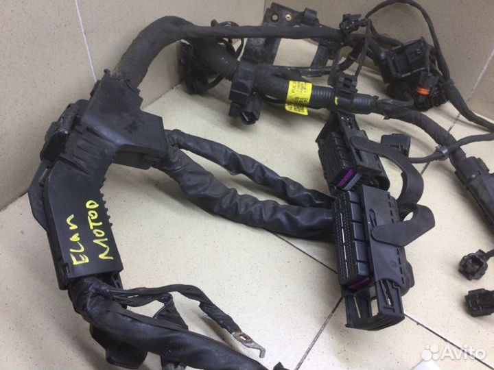 Проводка (коса) моторная Hyundai Elantra AD G4FG