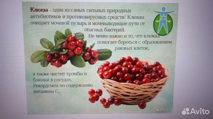 Клюква, Черника свежемороженные