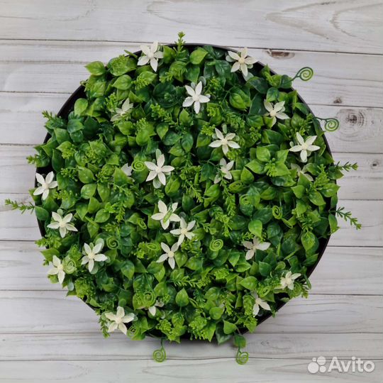 Картина, фитокартина