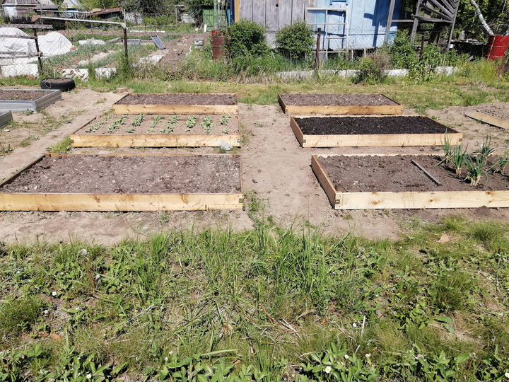 Участок 11 сот. (СНТ, ДНП)