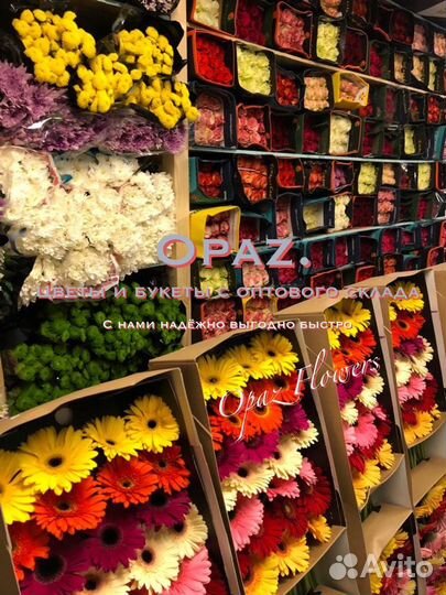 101 роза 70см Цветы Букеты Доставка