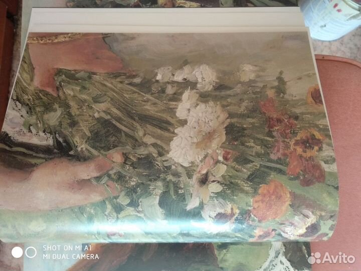 Художественный альбом