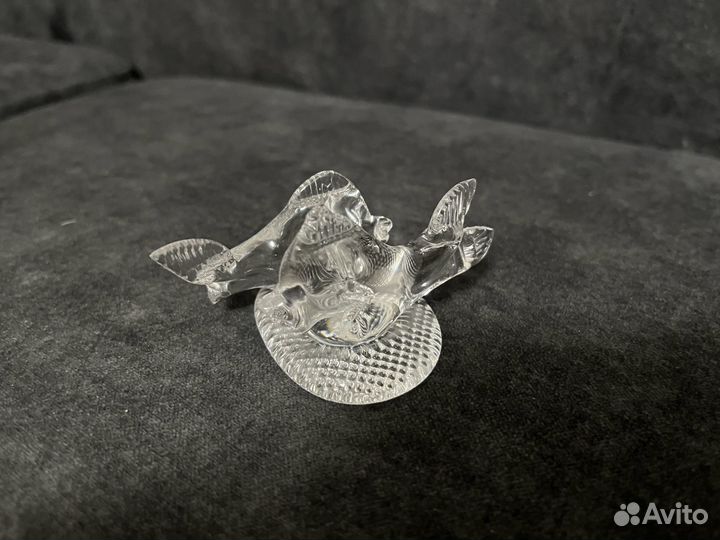 Хрустальные рыбки с дефектом