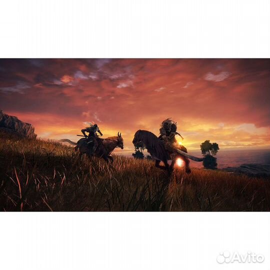 Elden Ring PS4 Русские субтитры