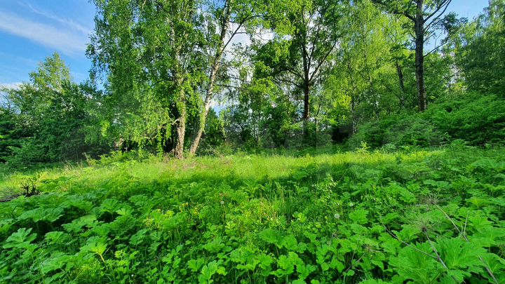 Участок 8 сот. (ИЖС)