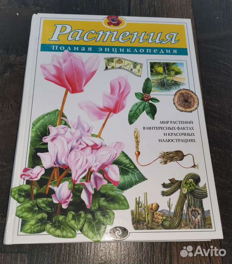 Полная энциклопедия 