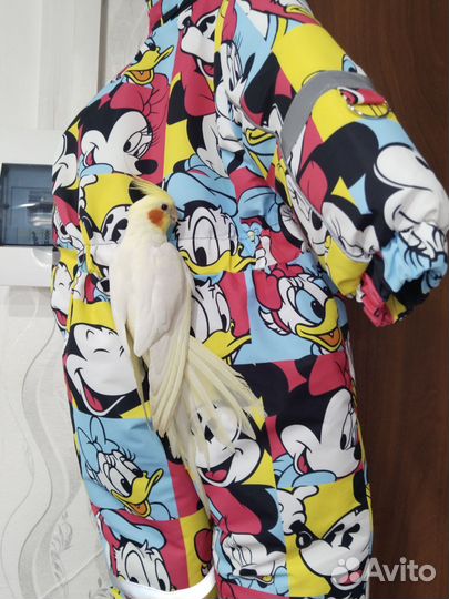 Попугай корелла с клеткой