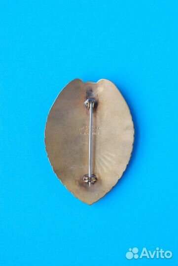 Нагрудной знак полиция США