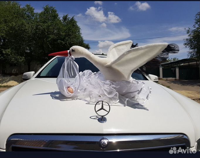 Аист на выписку на автомобиль