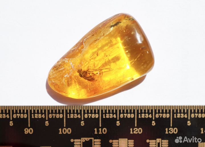 Натуральный балтийский янтарь с включением мухи