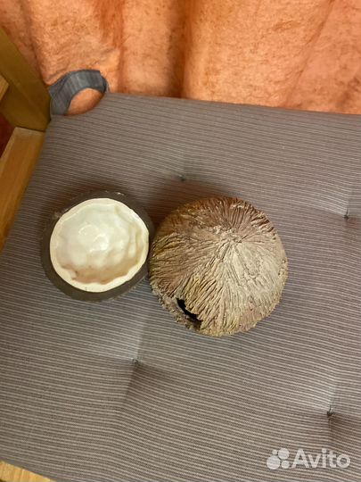 Укрытие с поилкой для мелких животных