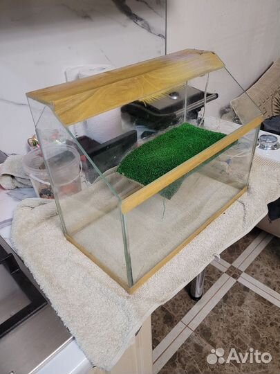 Террариум для черепахи