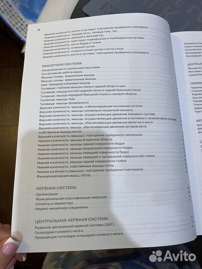 Анатомия человека Атлас-раскраска