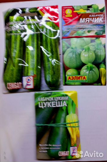 Семена кабачков