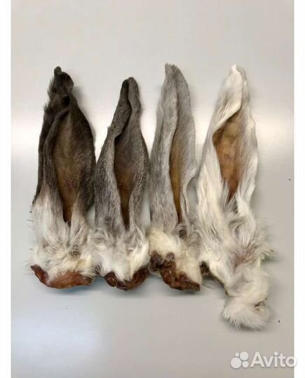 Лакомство для собак