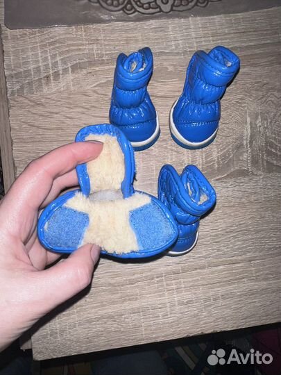 Обувь для собак