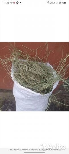 Сено для грызуна