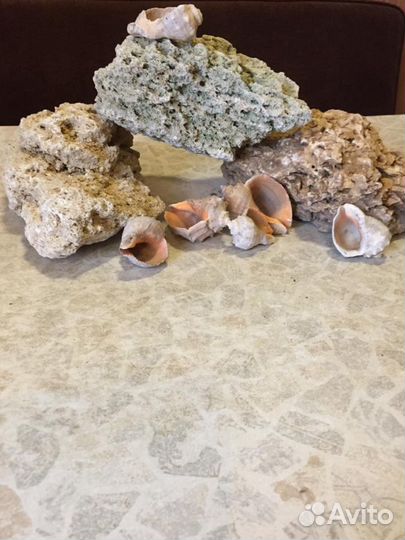 Для аквариума