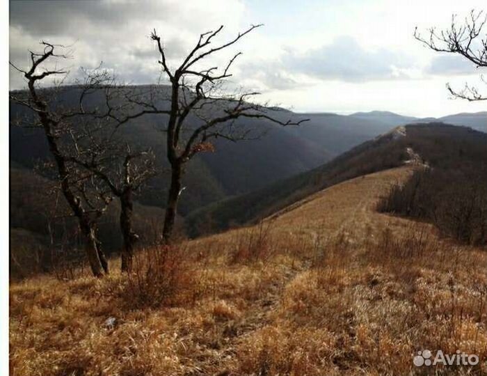 Аренда микроавтобуса, трансфер