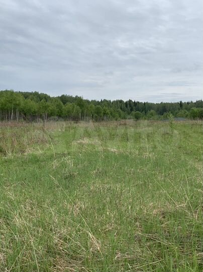 Участок 6,59 га (СНТ, ДНП)