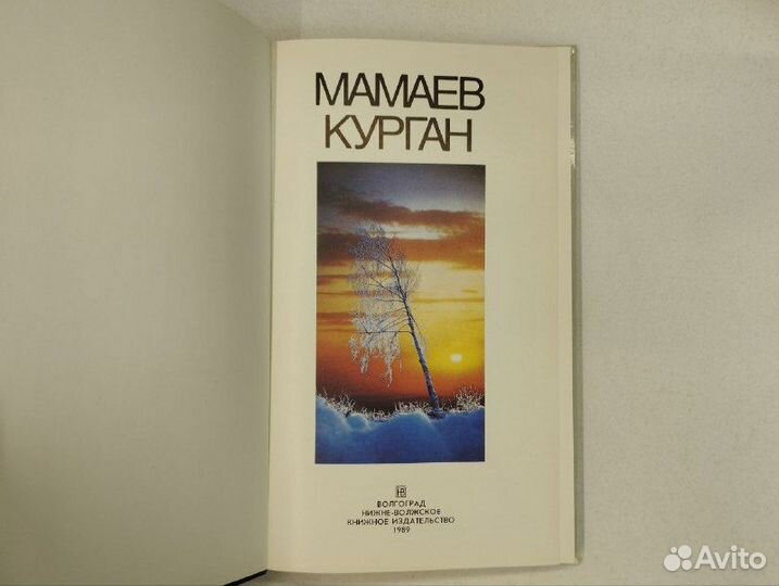 В. И. Дроботов. Мамаев курган