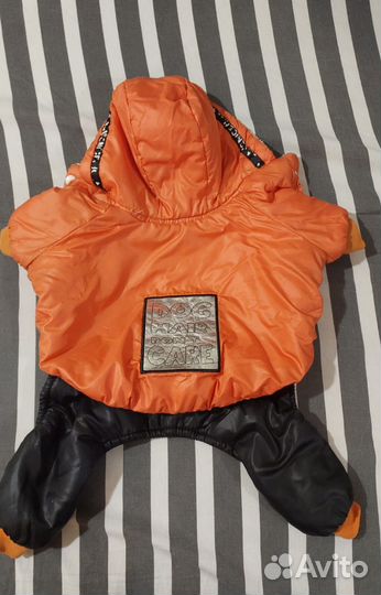 Зимний костюм для собак