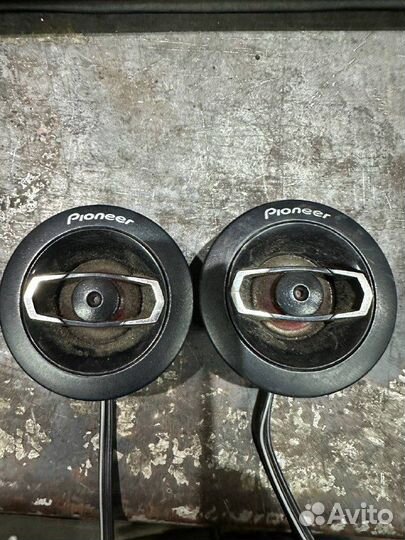 Динамики Prology competition