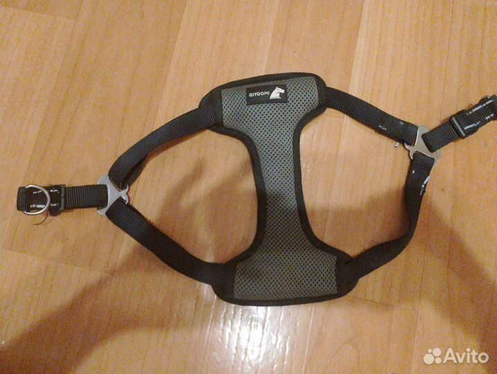 Амуниция для собак из биотана