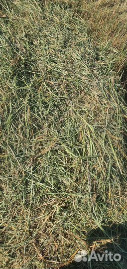 Сено в тюках