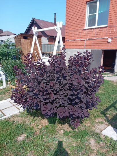 Дом 93,7 м² на участке 10 сот.