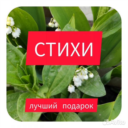 Стихи на заказ