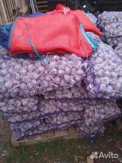 Чеснок с доставкой