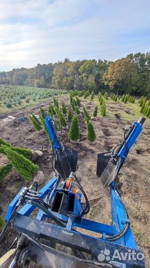 Пересадчик деревьев крот 800мм
