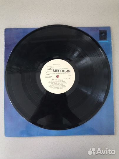 Виниловая пластинка