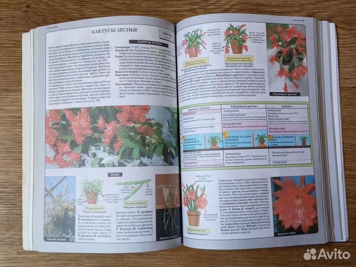 Д-р Д.Г. Хессайон. Все о комнатных растениях