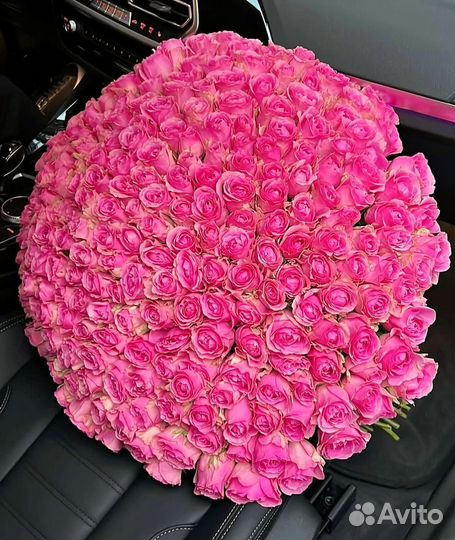 101 роза 51 роза 35 25 букет роз Доставка