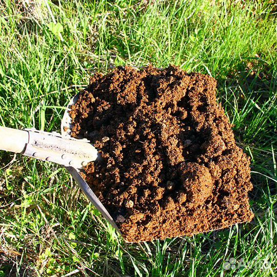 Коровий навоз (в мешках 25 л.)