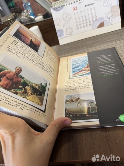 Зеленый свет мэттью макконахи