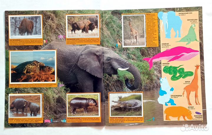 Альбомы. Панини Panini. Животные. Наклейки Стикеры