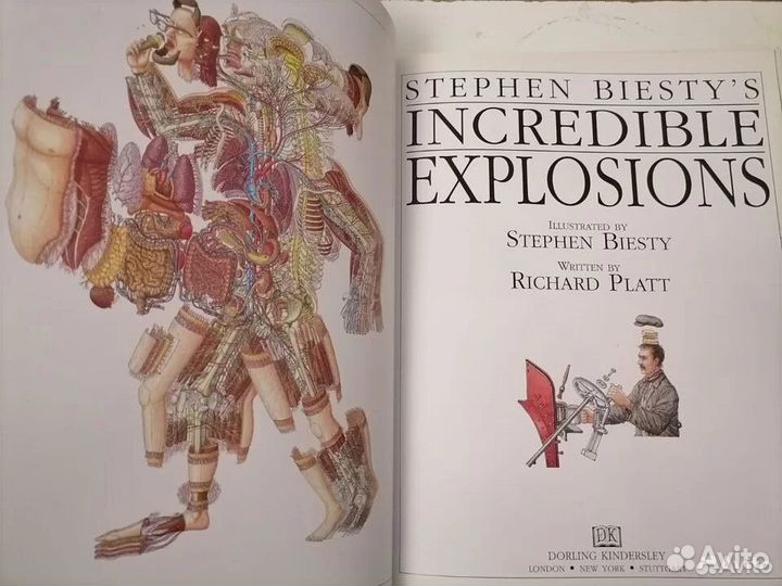 Чудесные сечения Стивена Бисти Оригинальное издан