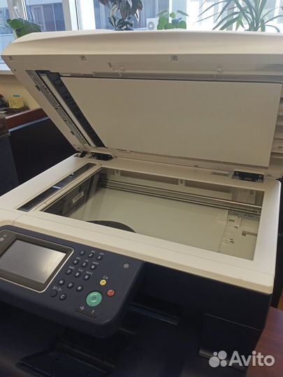 Принтер мфу Xerox WorkCentre 3615