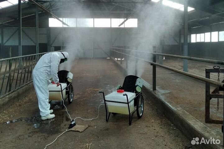 Уничтожение клопов тараканов грызунов плесени запа