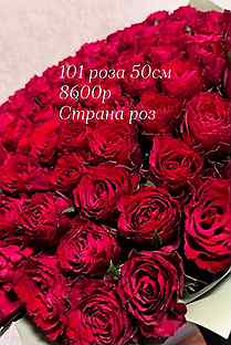 Цветы, доставка, розы51, 101, букеты