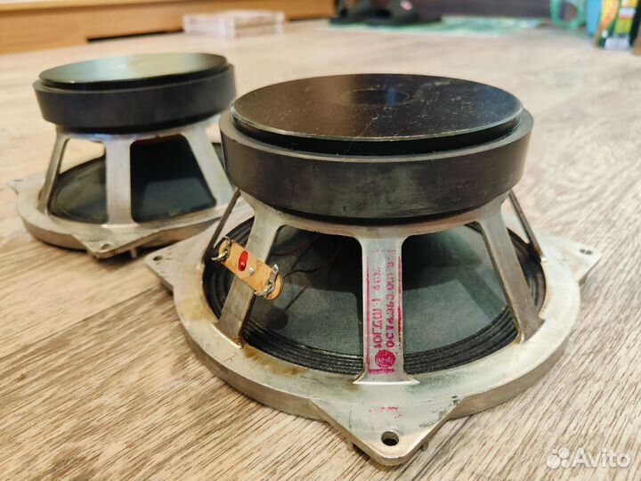 Динамики 10гдш