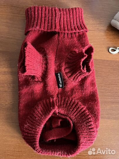 Одежда для собак