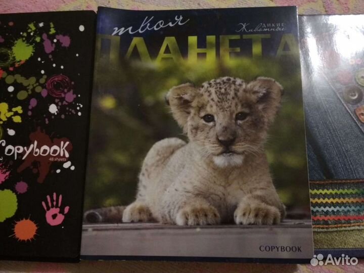 Тетради 48 л